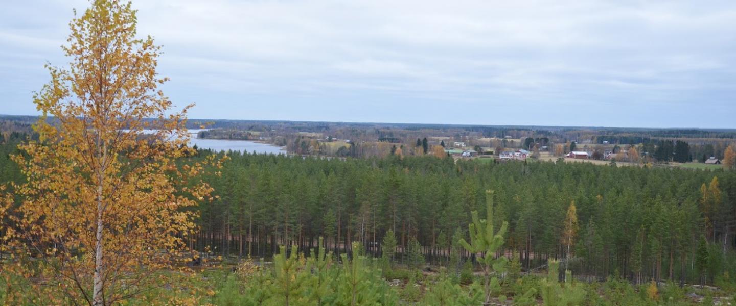Jämijärveä