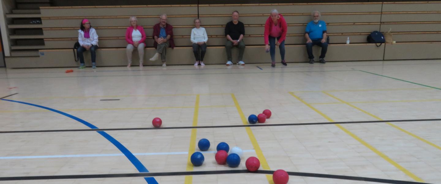 boccia