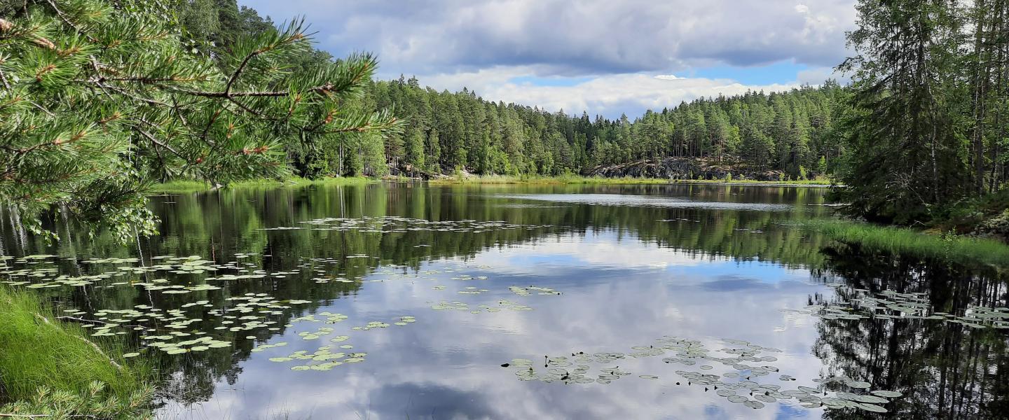 Kivijärven EL kevätretki 2021