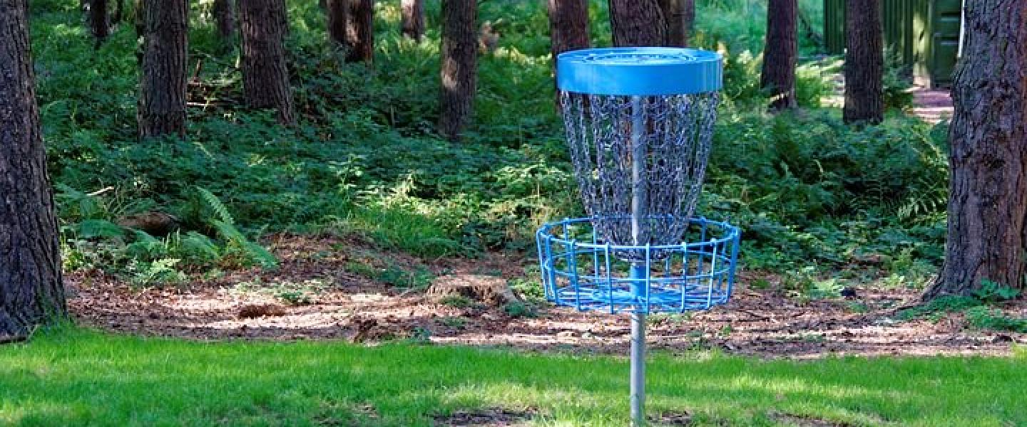 Frisbeegolfin maali metsän siimeksessä