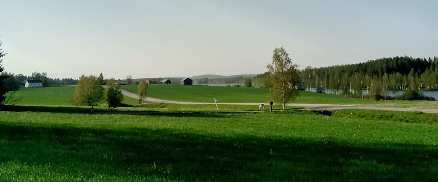 pohjoisen taivas