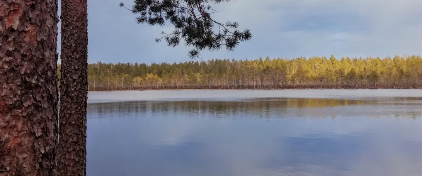 Isojoen spitaalijärvi