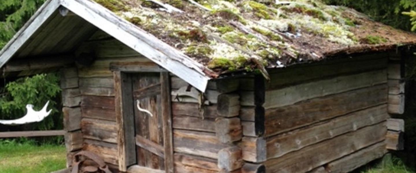 Kuvassa harmaa mökki tai aitta Lapissa. 