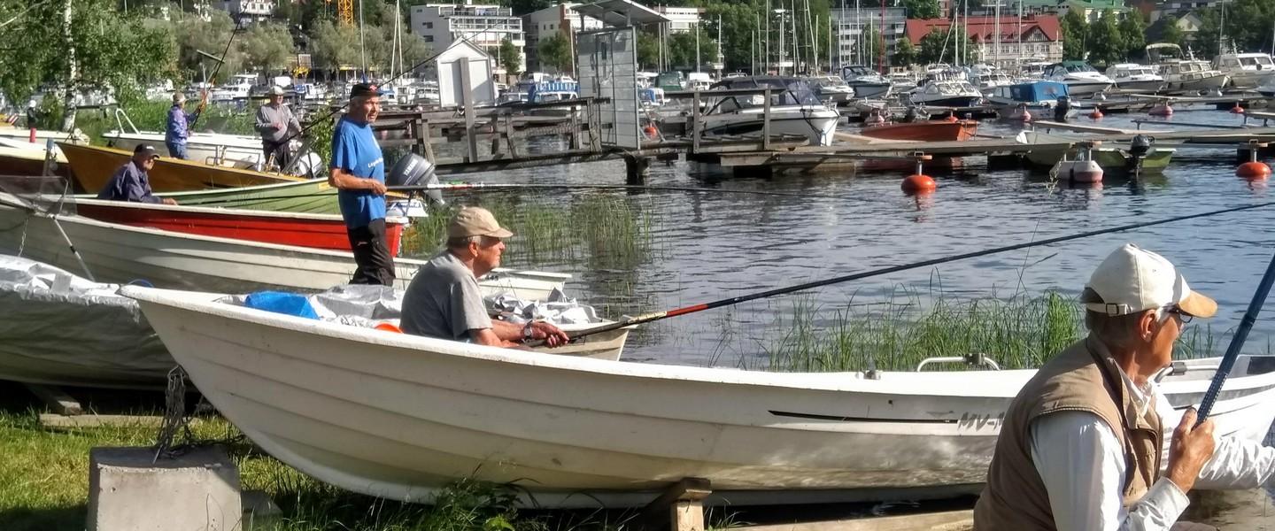 Ongintaa Lappeenrannan Halkosaaressa