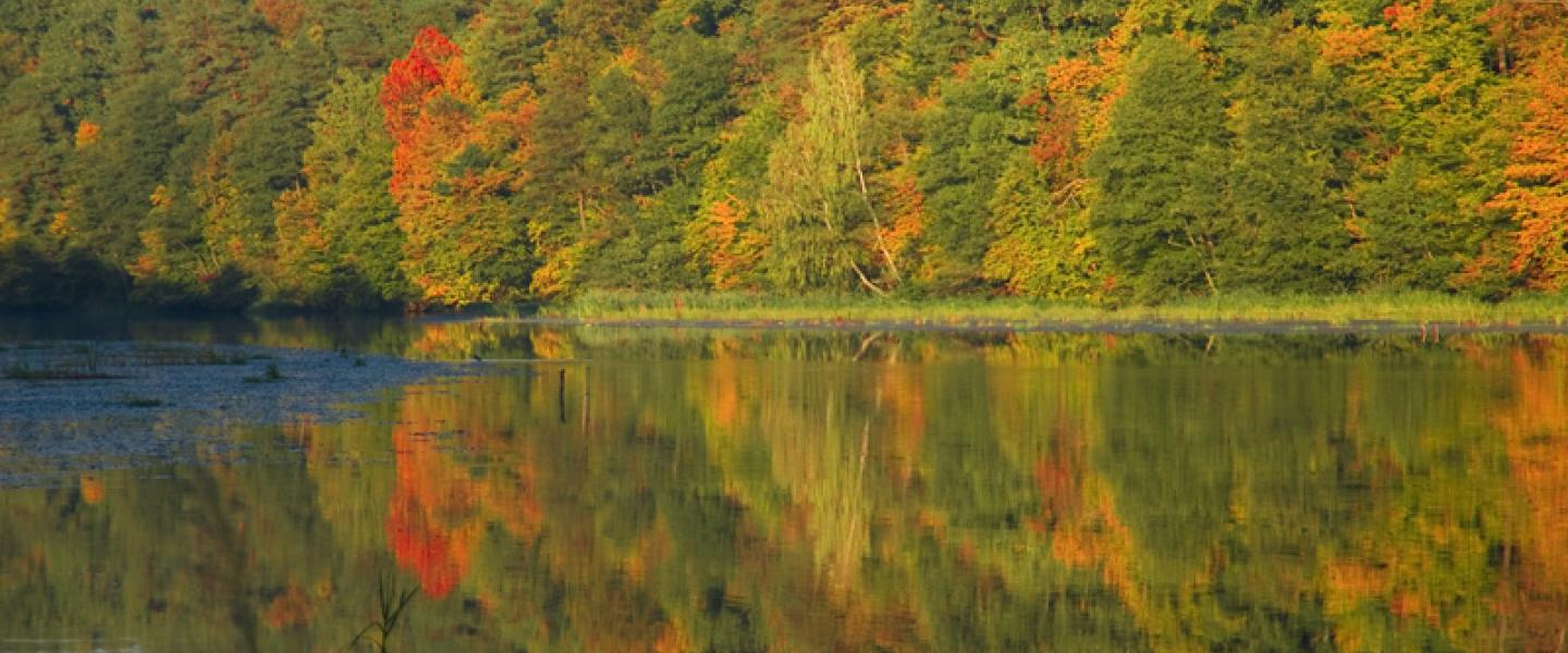 Ruskainen metsä heijastaa järveen