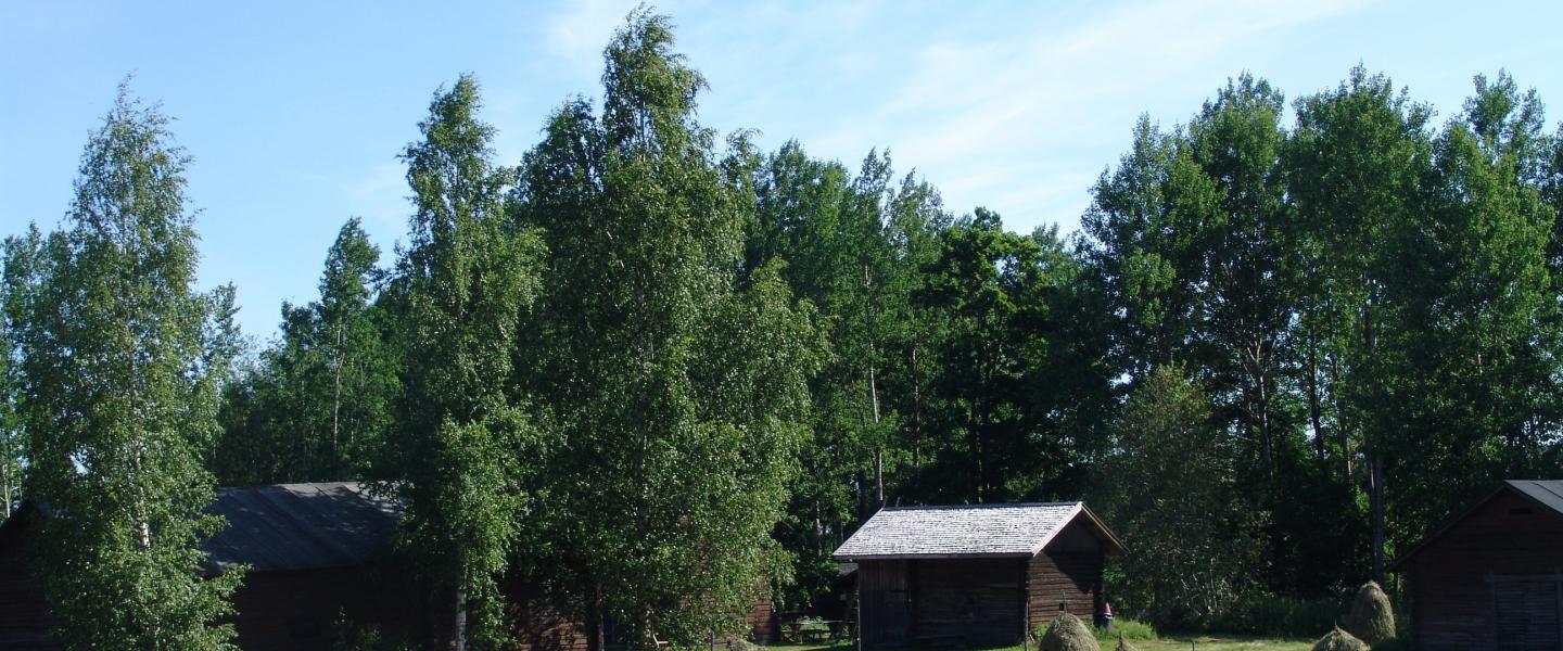 Elimäen museon heinäpelto
