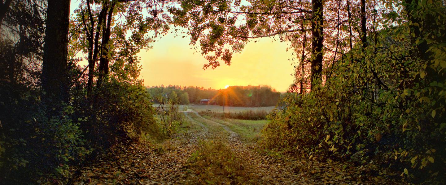 Njaninkuva