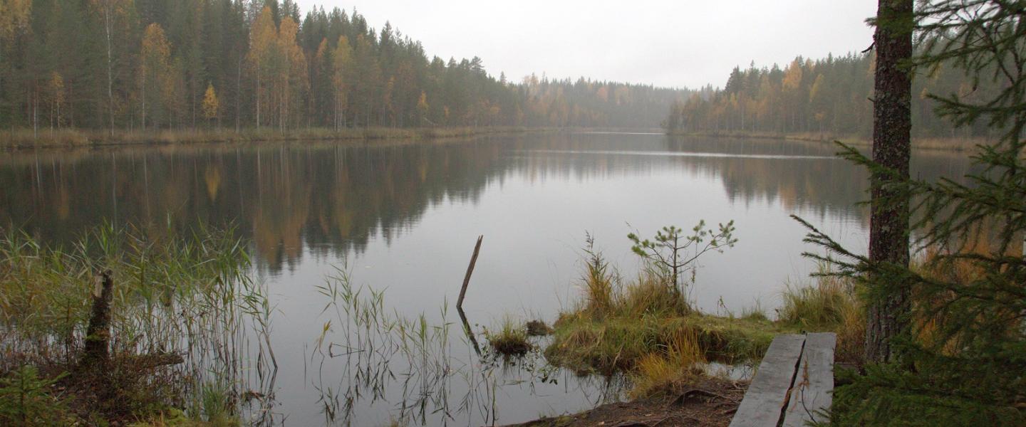 Syksyinen maisema kuvituskuva Kesälahti