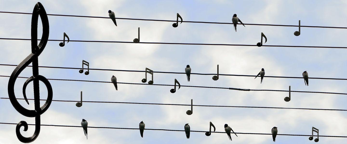 Konsertti