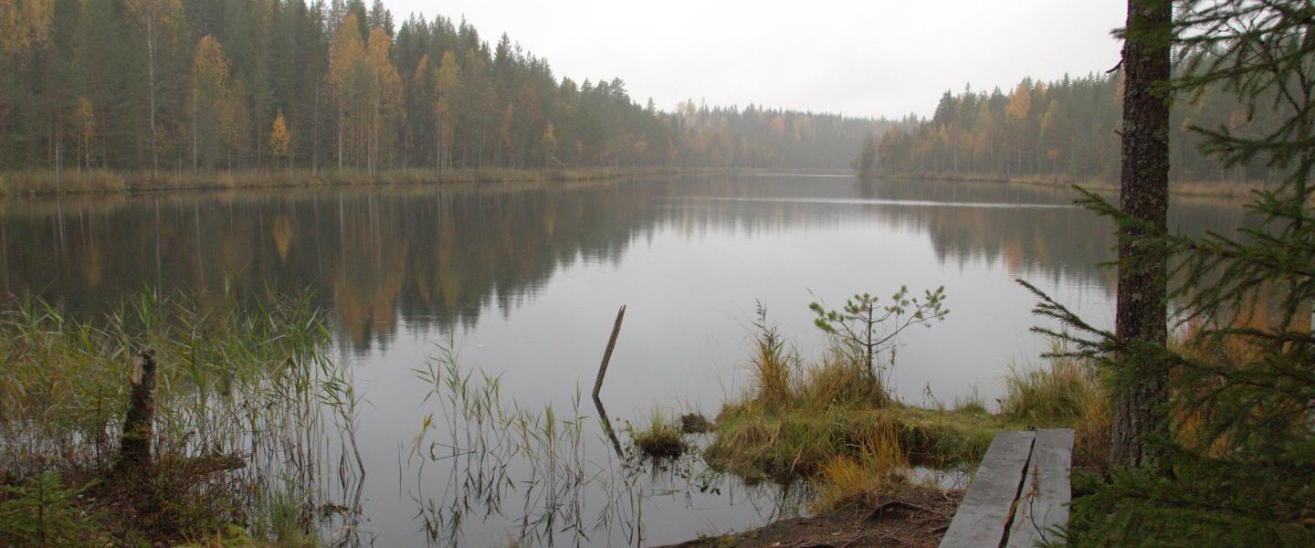 lampi ja laituri