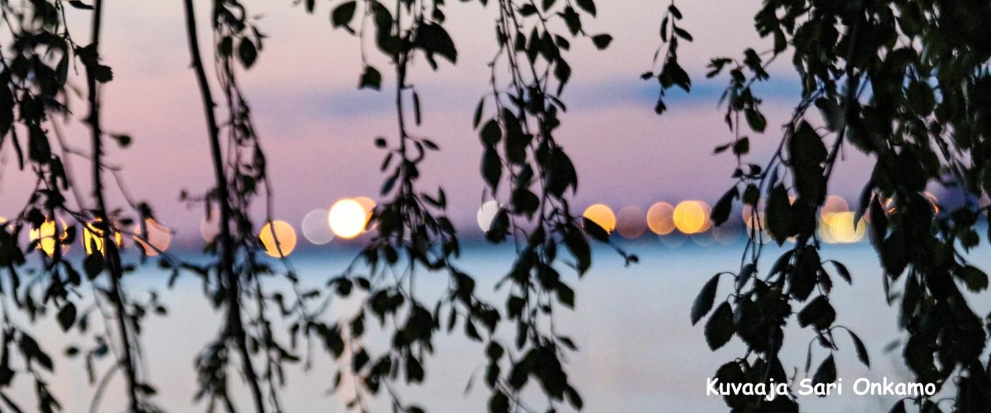 Vihiluoto_2000
