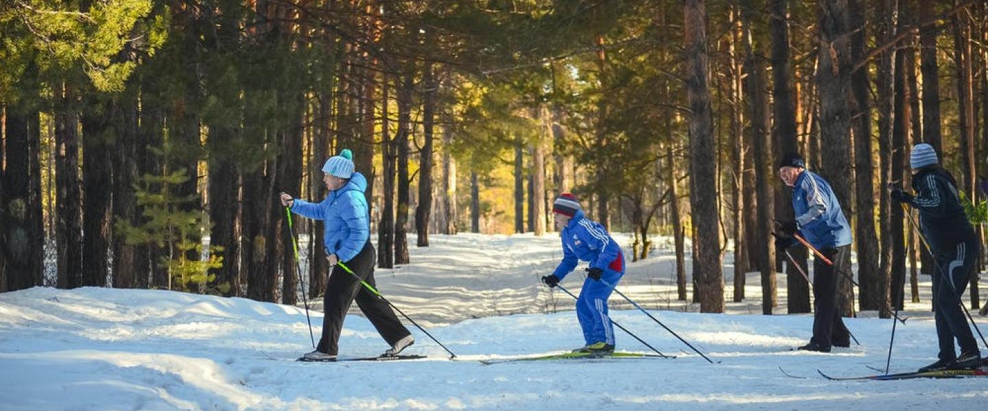 Hiihtäjöt metsän siimeksessä