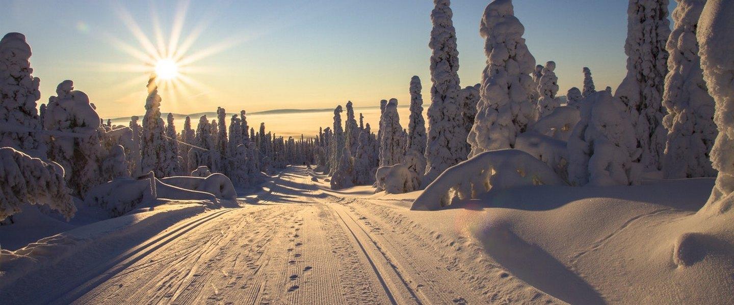 ladut auringon laskiessa
