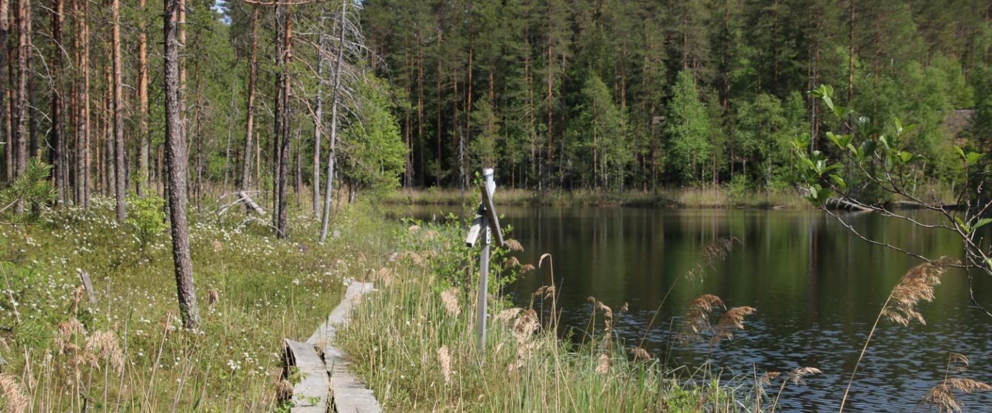 Rantaongintapaikka