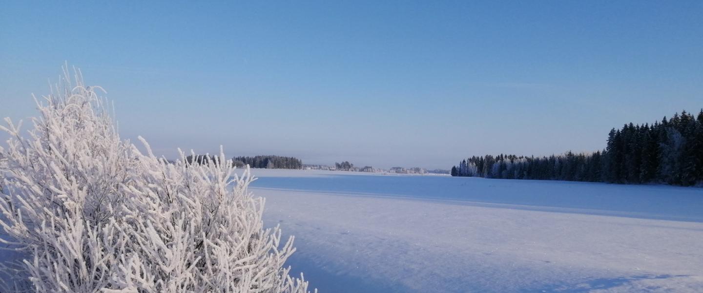Helmikuu on tullut
