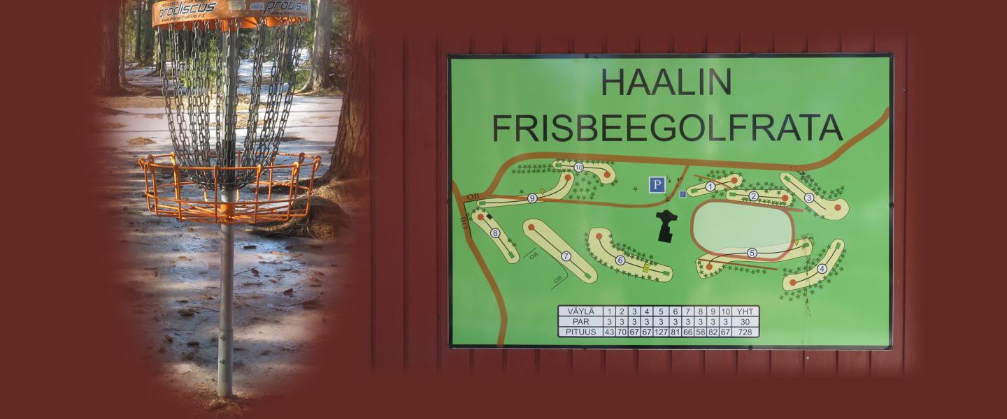 frisbee