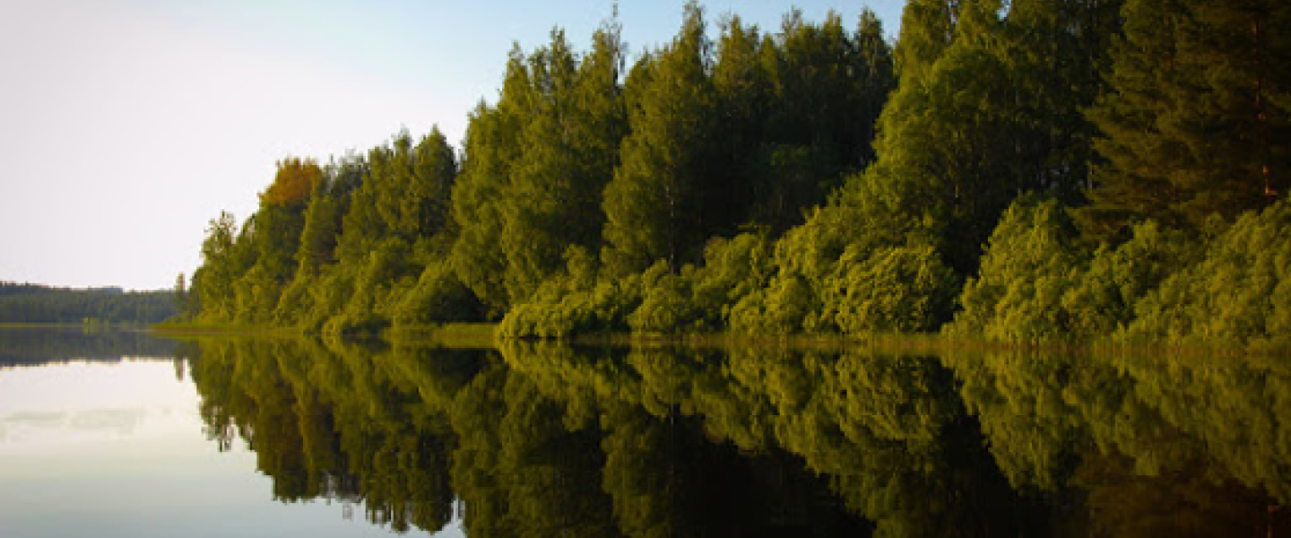 järvi png