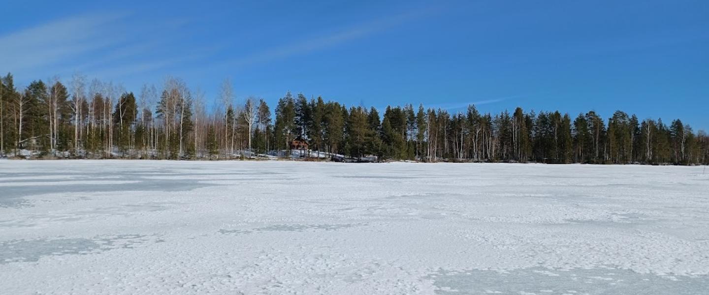 talvinen maisema järveltä