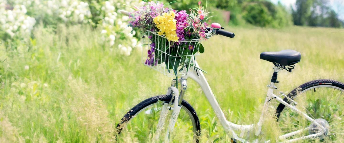 Polkupyörä kesäisellä niityllä