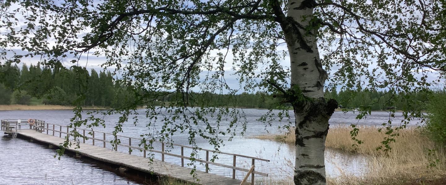Tampere järvimaisema