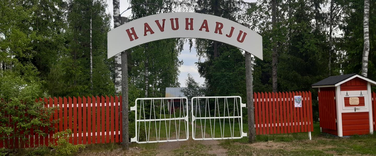 somero_havuharju