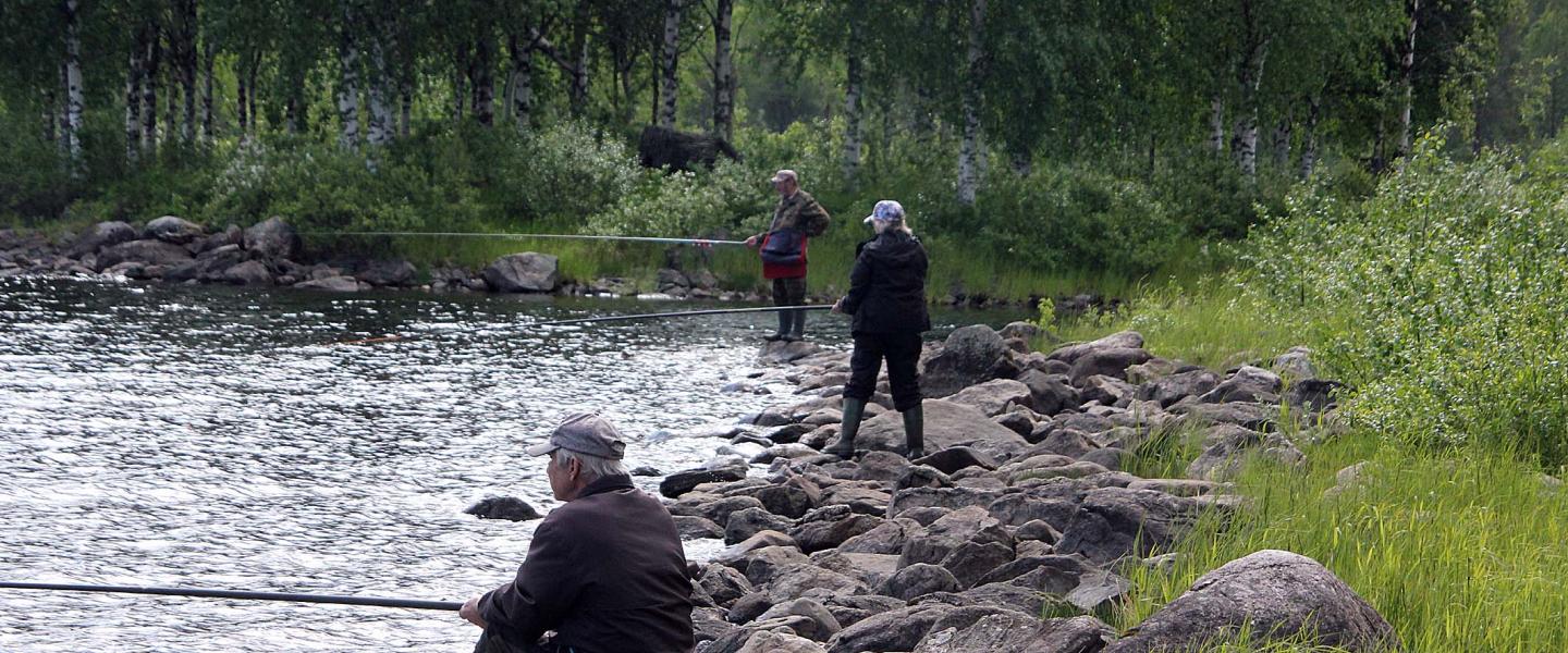 Rantaongintaa Jätkänpuistossa