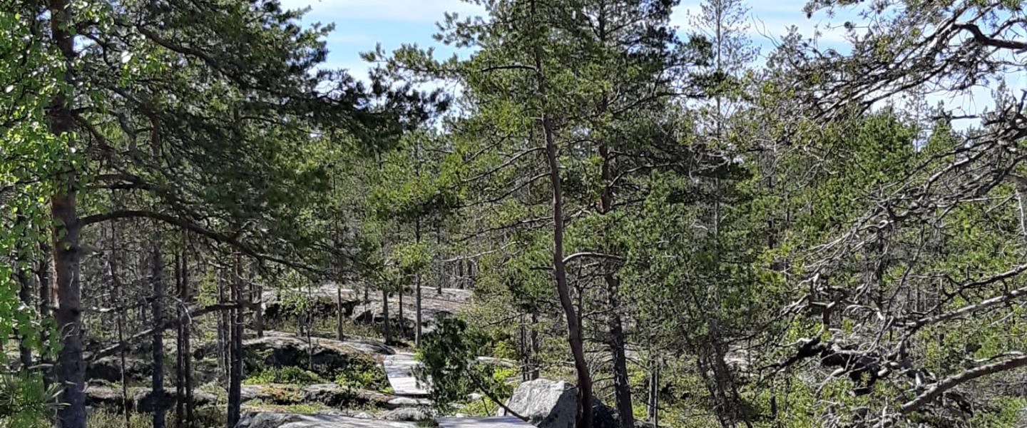 Luontopolku