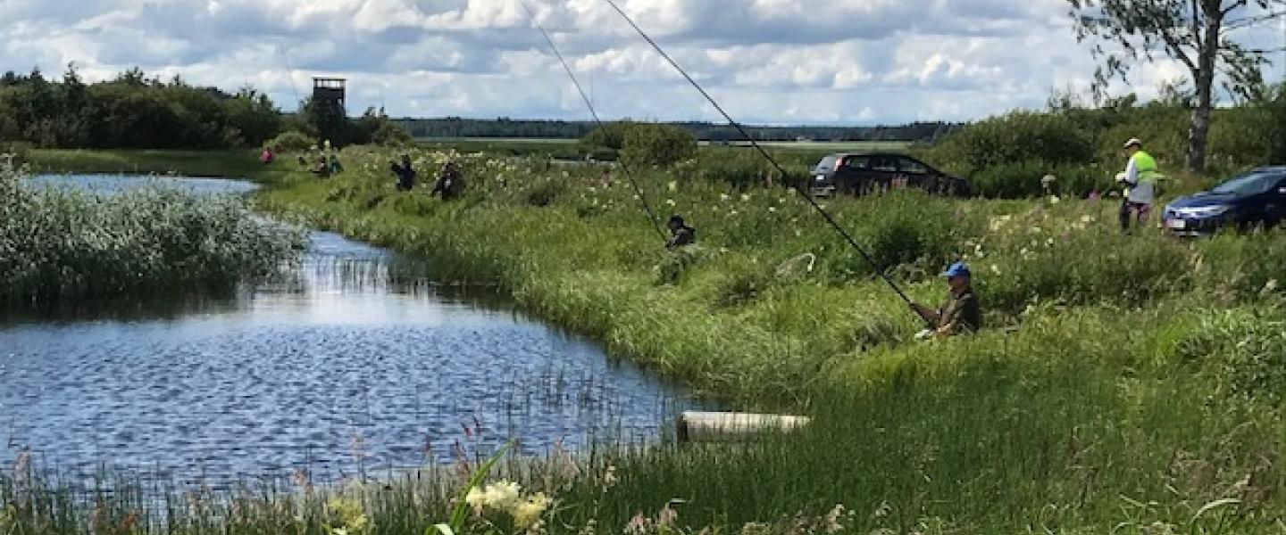 Rantaongintakisat Jalasjärvellä 14.7.2022