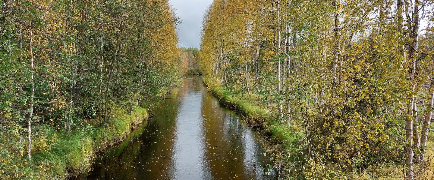 kekrijuhlat