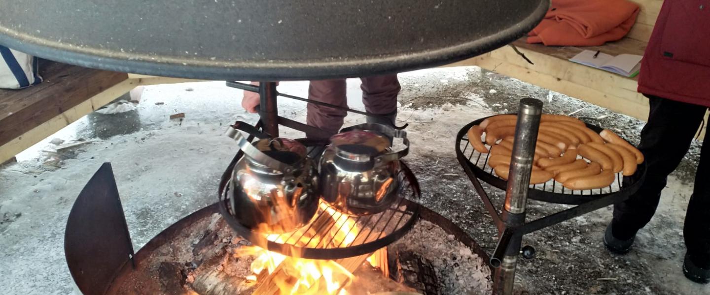 Ylöjärvi luonto Ahvenisto