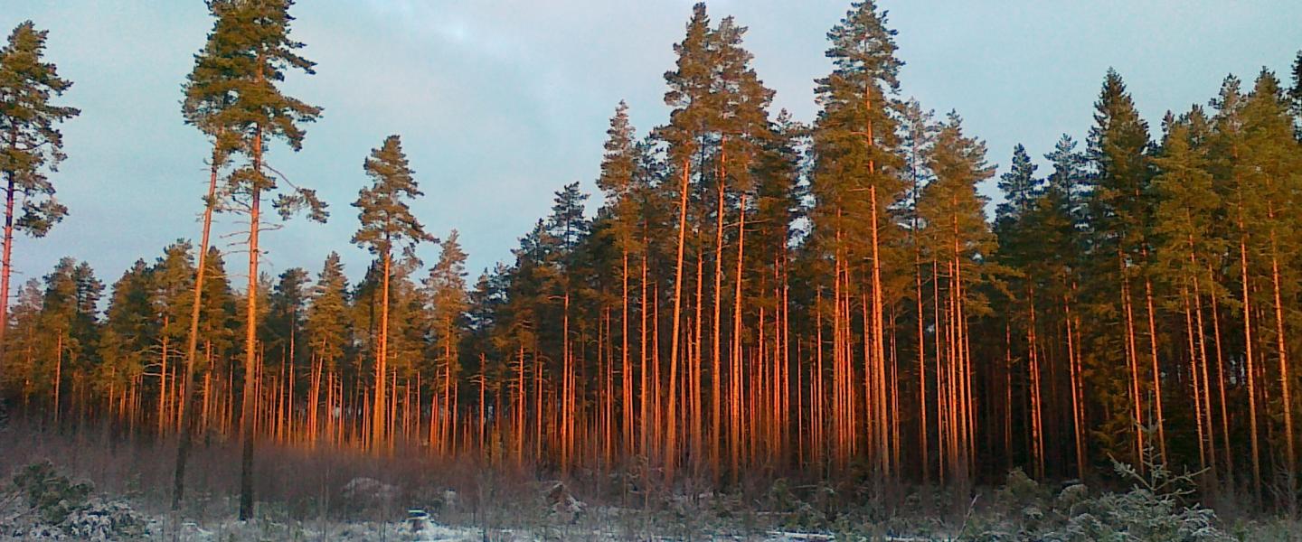 näin Satakunnassa