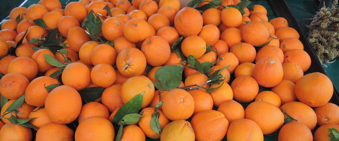 Appelsiinejä torilla