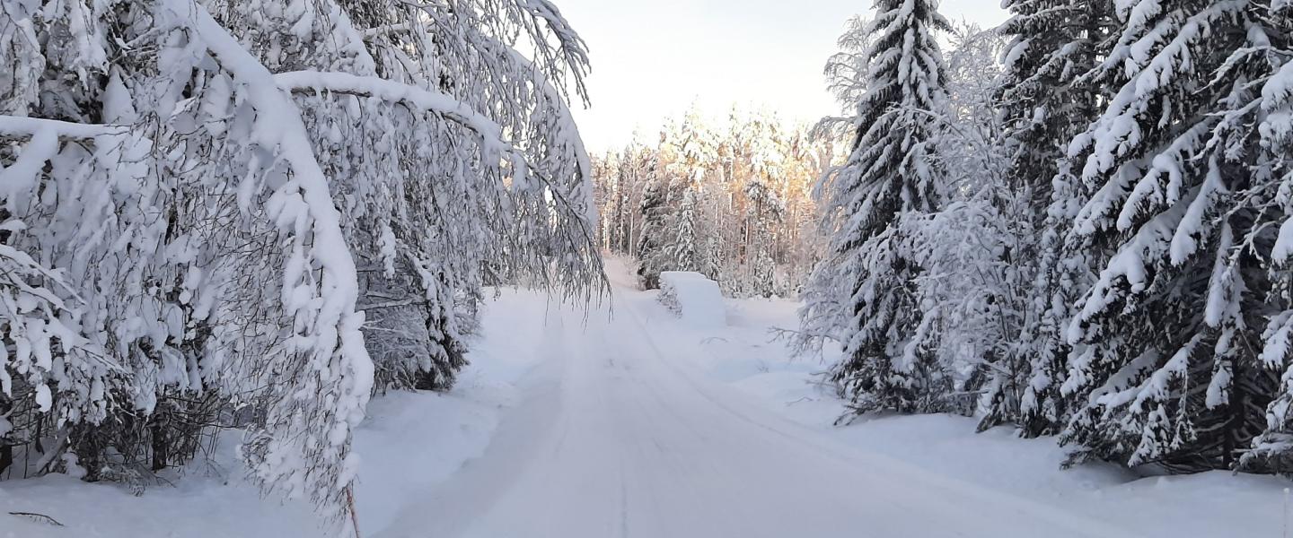 Kainuun hyvinvointialue