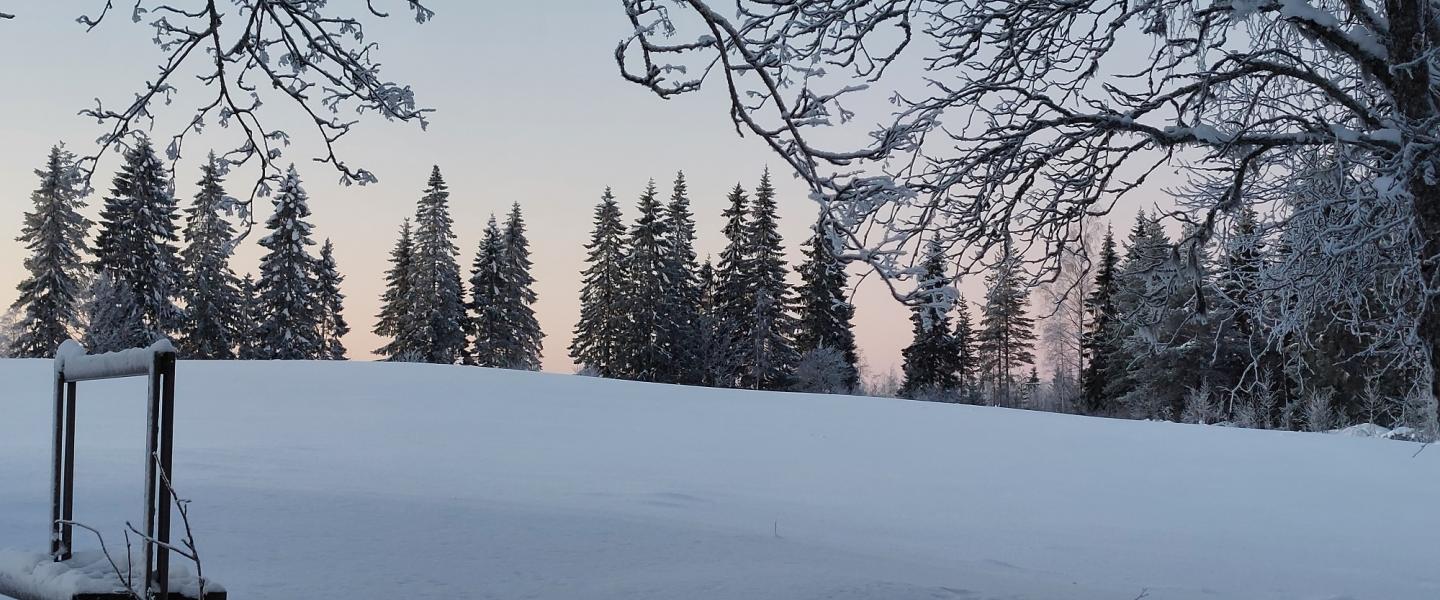 Yhdistyksen kevätkokous
