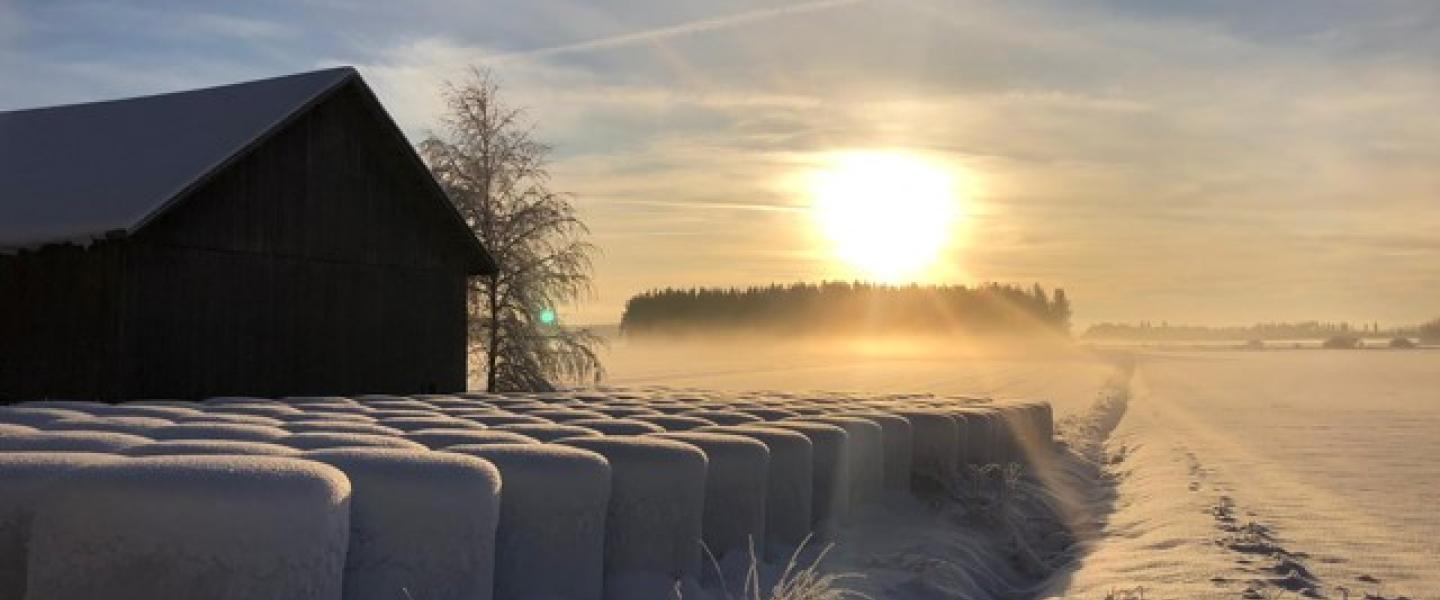 Alastaro_auringonlasku_23_01