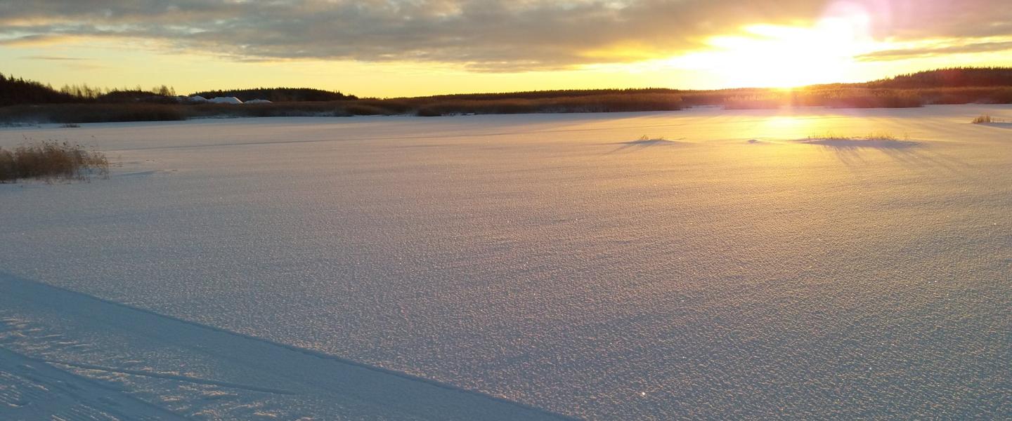 aurinko paistaa hangelle