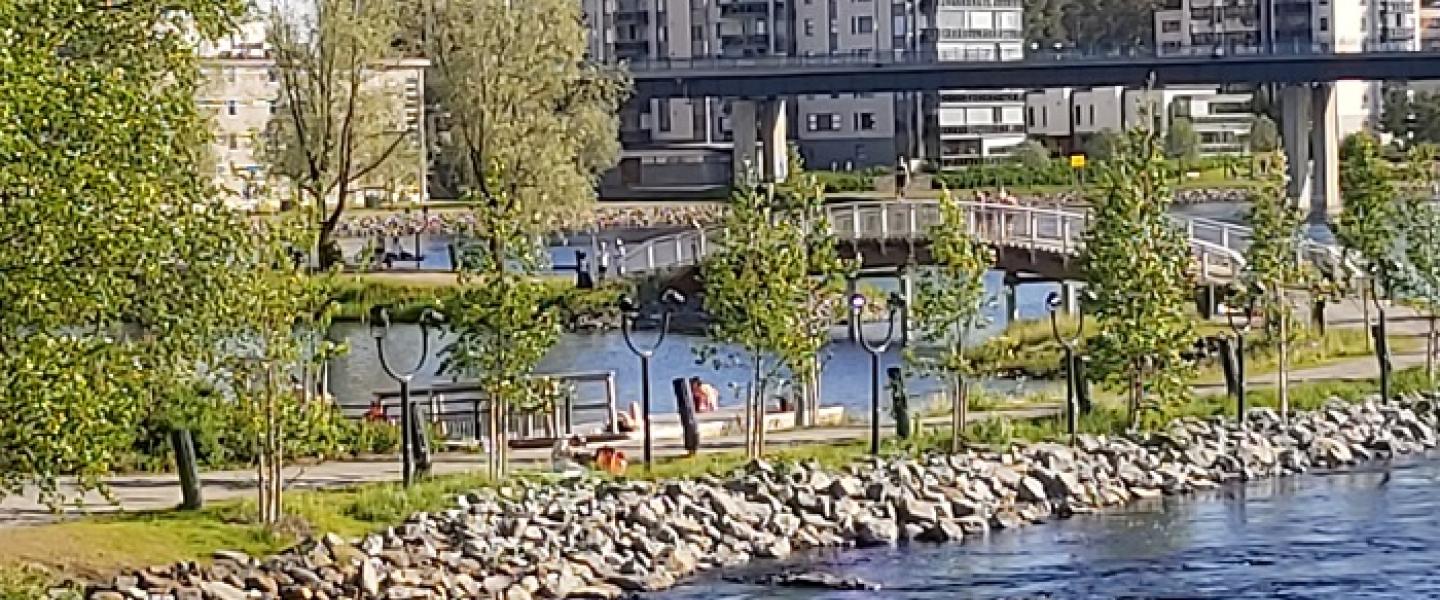 Joensuu_Mli