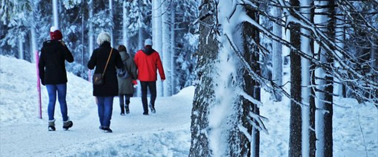 Sauvakävely talvi