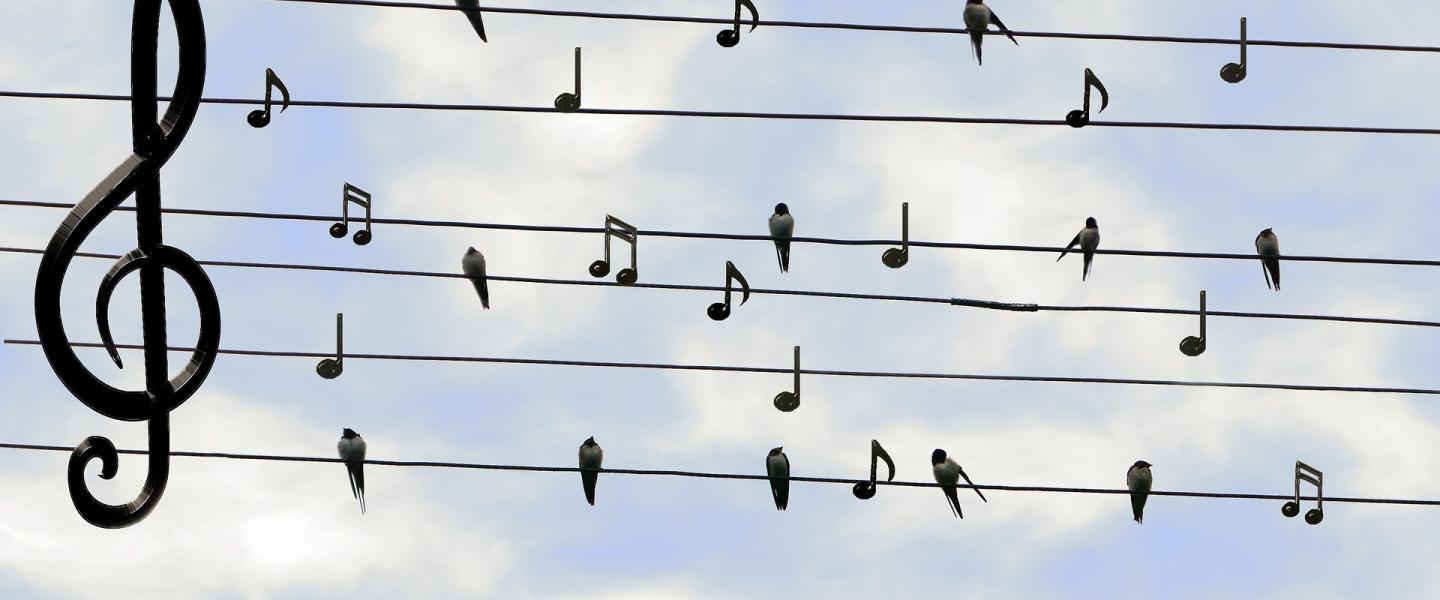 Musiikkia