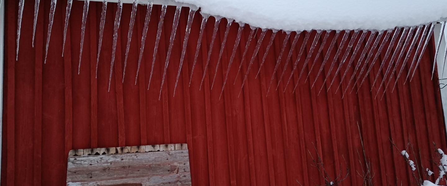 Sauna ja jääpuikkoja