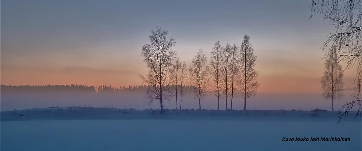 Sumu_Marinkainen_JJ
