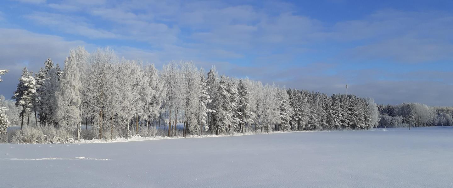 Hpla talvimaisema