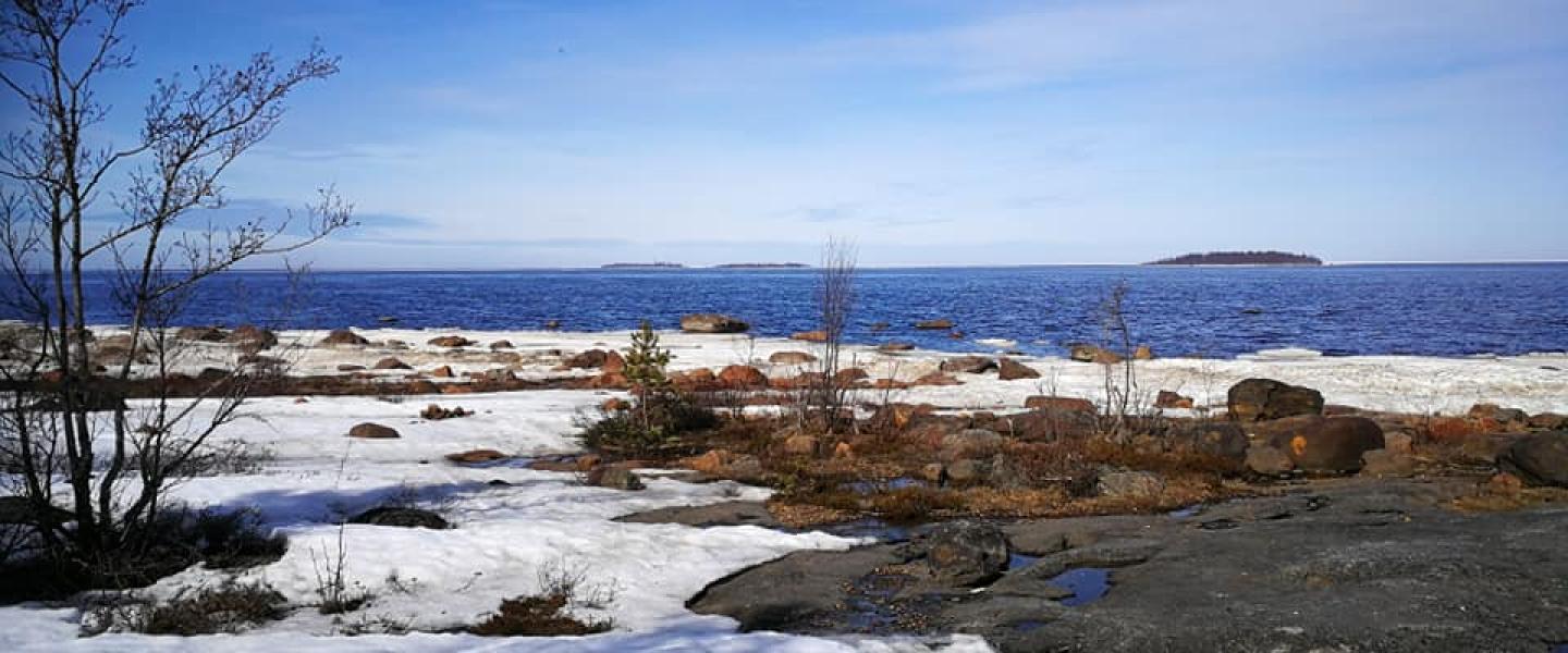Helluskari