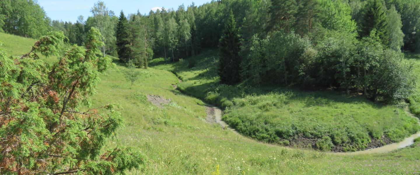 somero_häntälän notkot
