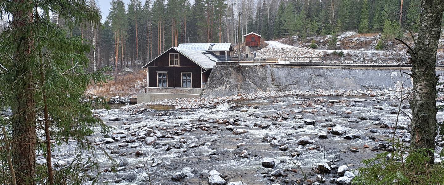 Lahnanen, simpele