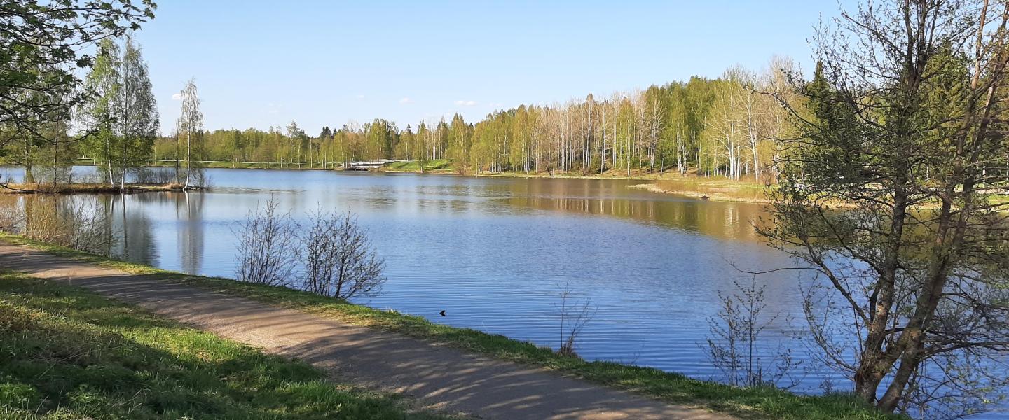 Rantaonginta kaupunginlammella