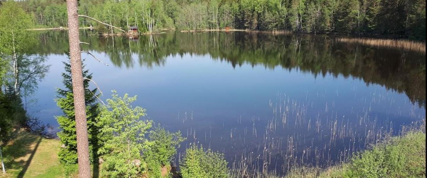 Lehnirannan järvi