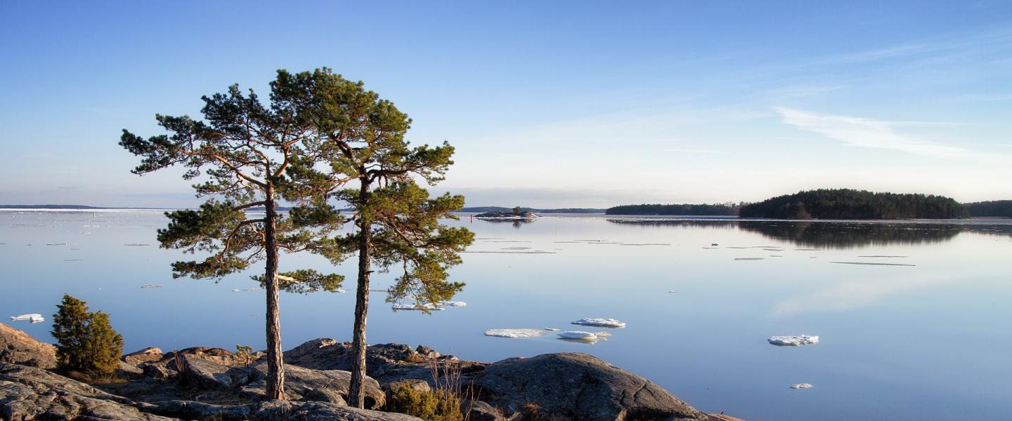 kesäretki
