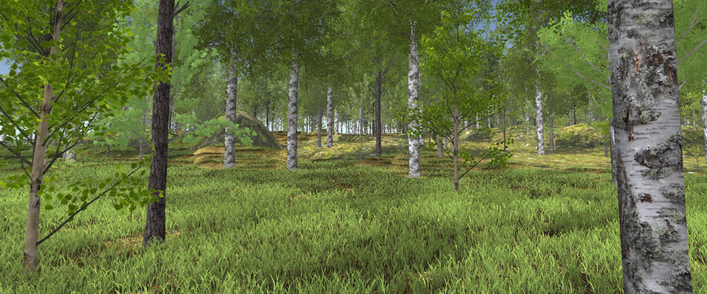 metsä