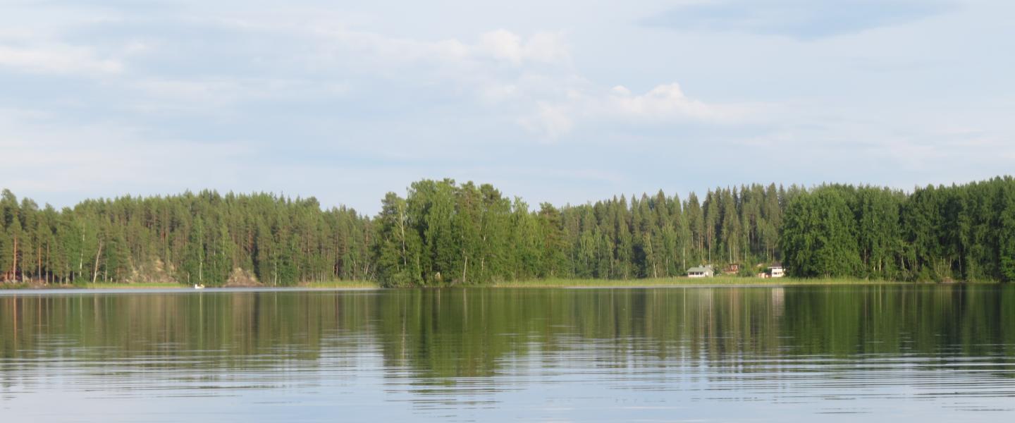 Haukivuori, Kyyvesi, Korpiselkä